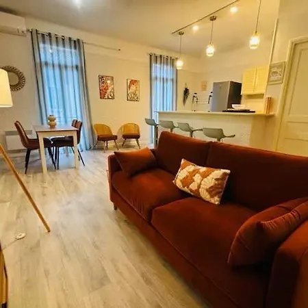 Grand T2 Avec Clim Balcon Wifi Perpignano