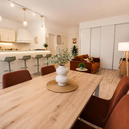 Grand T2 Avec Clim Balcon Wifi Appartement Perpignan